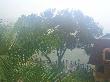 P1010019.JPG