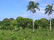 IMG_0176.JPG