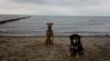 Max und Odie an der Ostsee 2014.jpg
