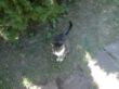 DSC04399.JPG
